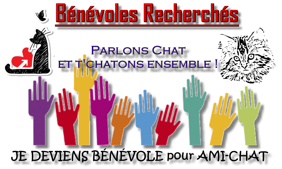 B&Eacute;N&Eacute;VOLES RECHERCH&Eacute;S: Ami-Chat &Eacute;THIQUE F&Eacute;LINE ST-COLOMBAN recherche des b&eacute;n&eacute;voles ET DES DONS